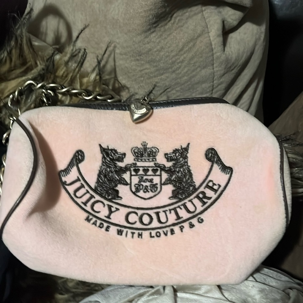 Vintage Juicy Couture velour handbag